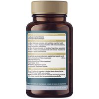 Sfera Lion's Mane Mushroom Extract - 60s